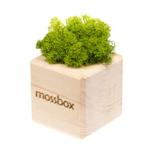 MossBox