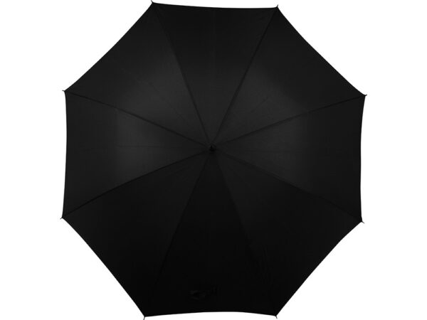 Зонт-трость Алтуна